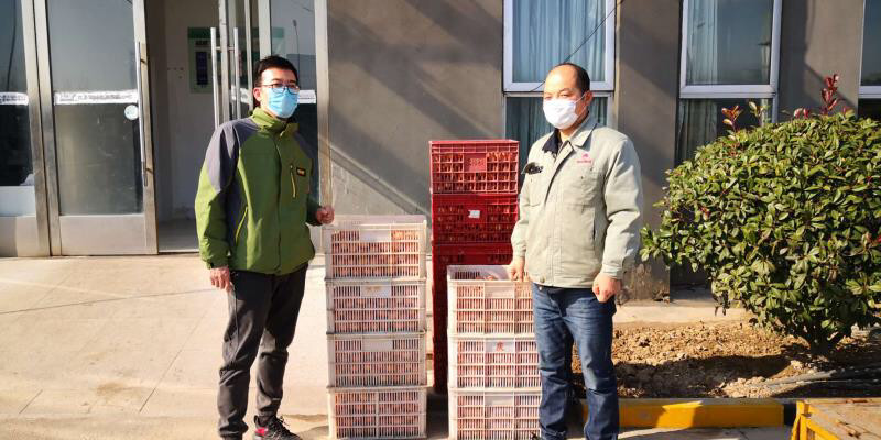 江蘇濱海雞蛋遇銷售難題：相關(guān)部門幫助對路適銷